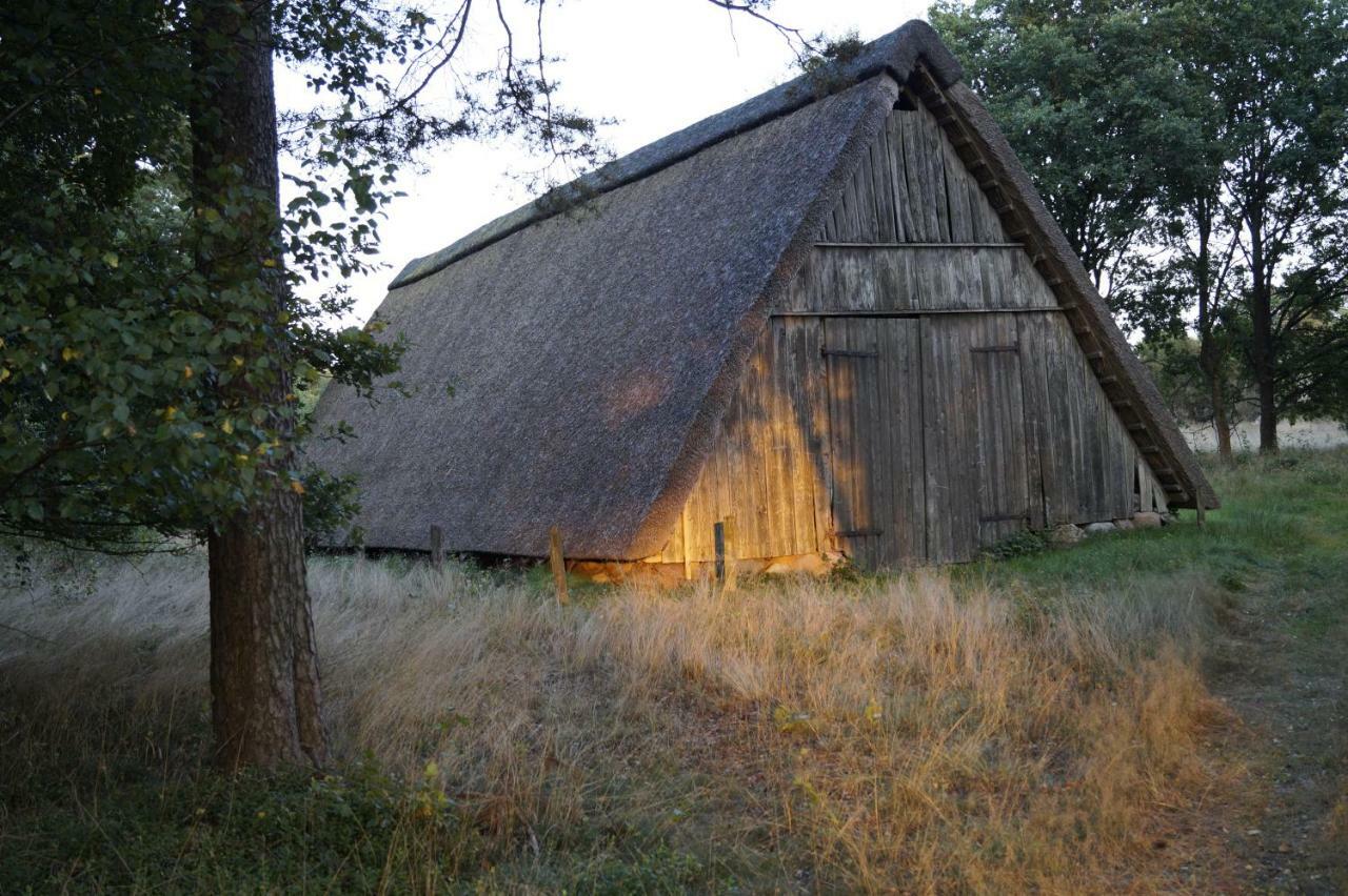 Ferienhaus Wahlers Bispingen Eksteriør billede