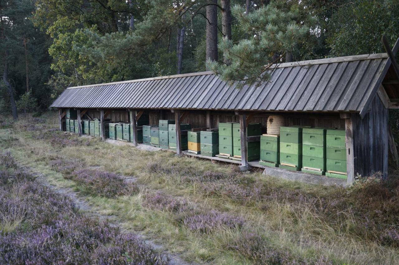 Ferienhaus Wahlers Bispingen Eksteriør billede