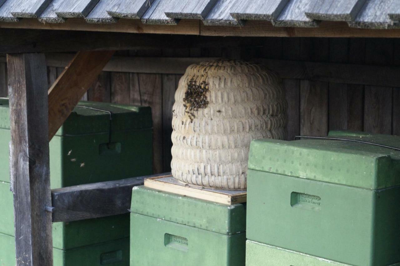 Ferienhaus Wahlers Bispingen Eksteriør billede