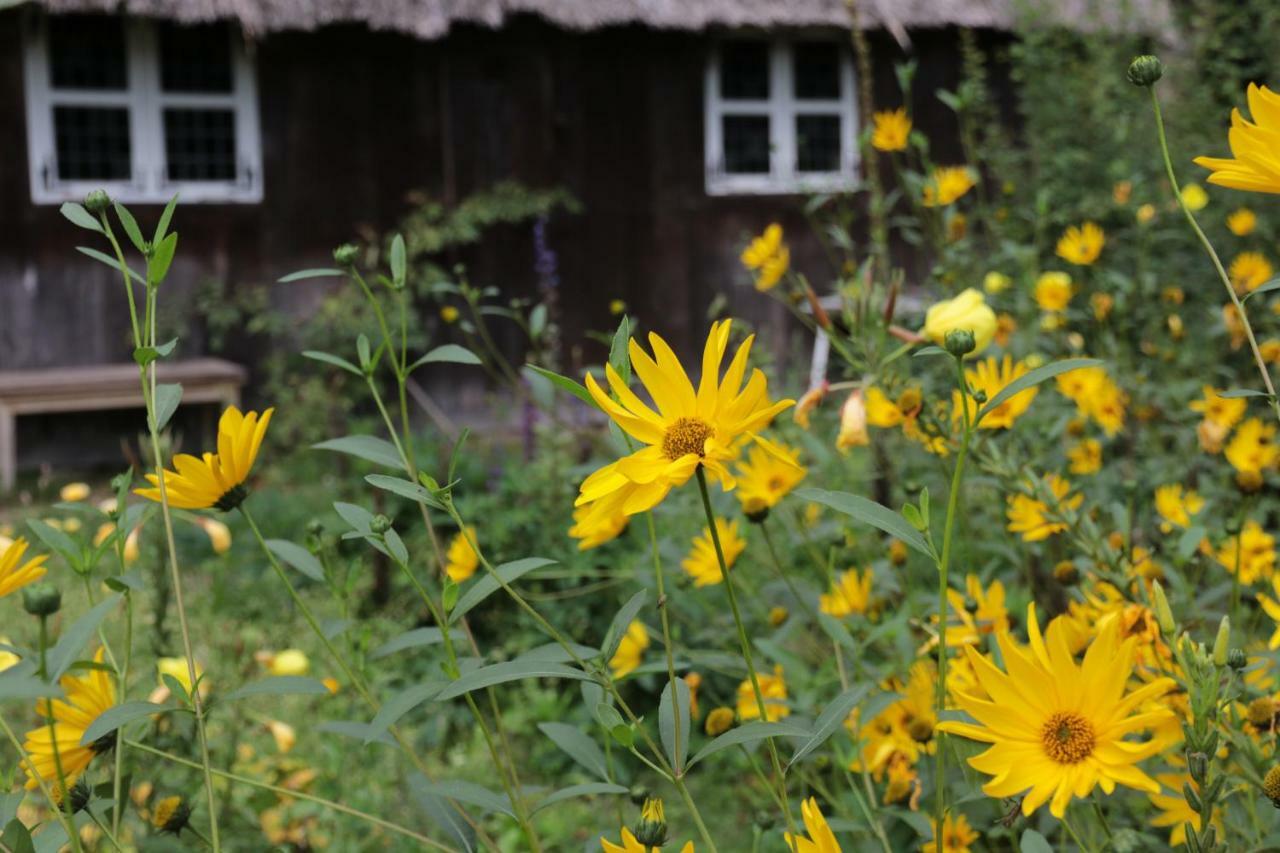 Ferienhaus Wahlers Bispingen Eksteriør billede