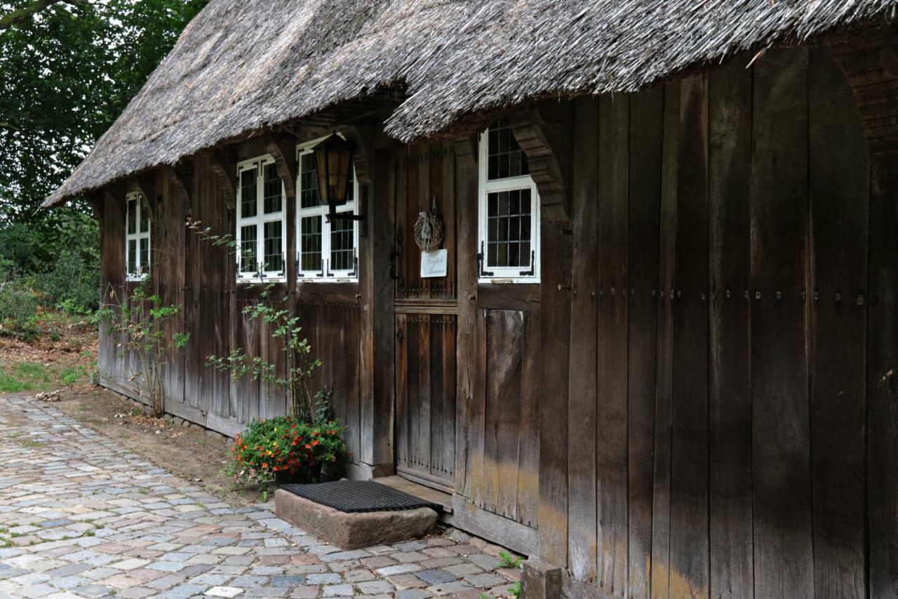 Ferienhaus Wahlers Bispingen Eksteriør billede